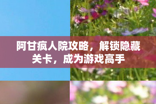 阿甘疯人院攻略，解锁隐藏关卡，成为游戏高手