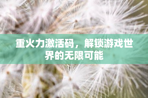 重火力激活码，解锁游戏世界的无限可能