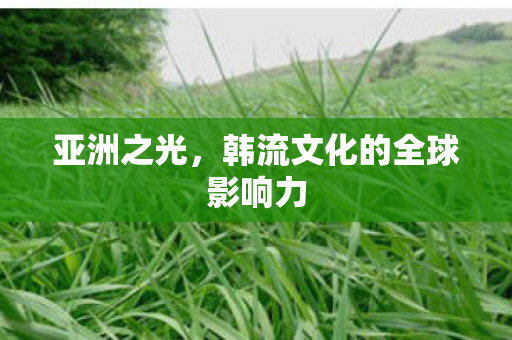 亚洲之光,韩流文化的全球影响力 亚洲之光,韩流文化的全球影响力