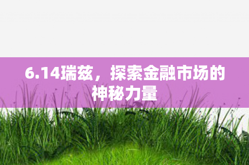 6.14瑞兹,探索金融市场的神秘力量 6.14瑞兹,探索金融市场的神秘力量