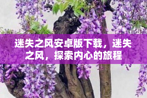 迷失之风安卓版下载，迷失之风，探索内心的旅程