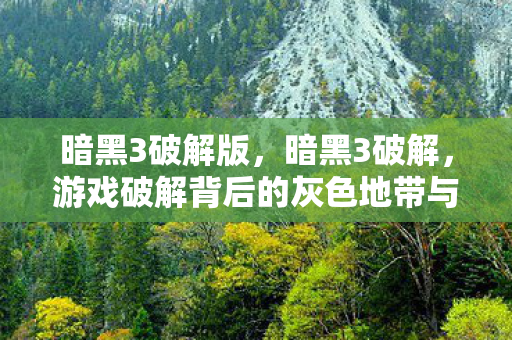 暗黑3破解版，暗黑3破解，游戏破解背后的灰色地带与警示