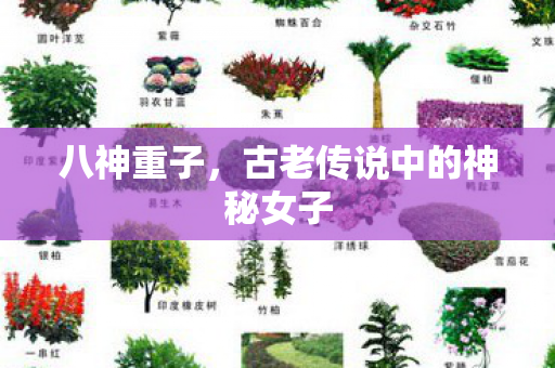 八神重子，古老传说中的神秘女子