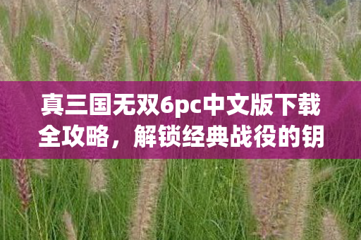 真三国无双6pc中文版下载全攻略，解锁经典战役的钥匙