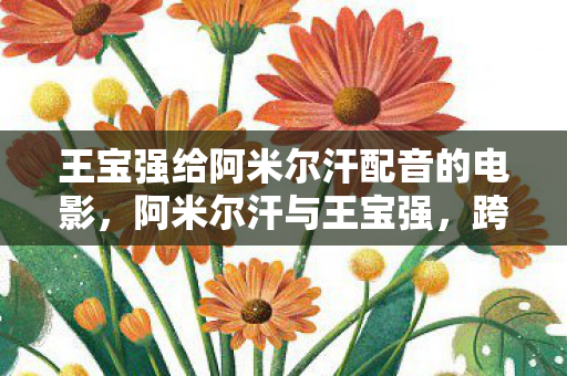 王宝强给阿米尔汗配音的电影，阿米尔汗与王宝强，跨越国界的友情