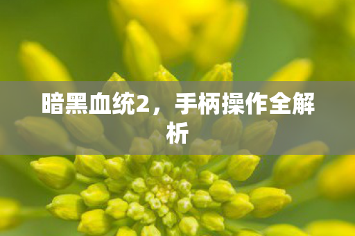 暗黑血统2,手柄操作全解析 暗黑血统2,手柄操作全解析