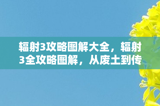 辐射3攻略图解大全，辐射3全攻略图解，从废土到传奇的旅程