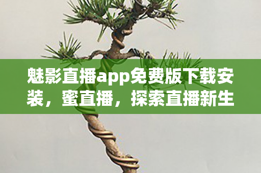 魅影直播app免费版下载安装，蜜直播，探索直播新生态，连接你我他