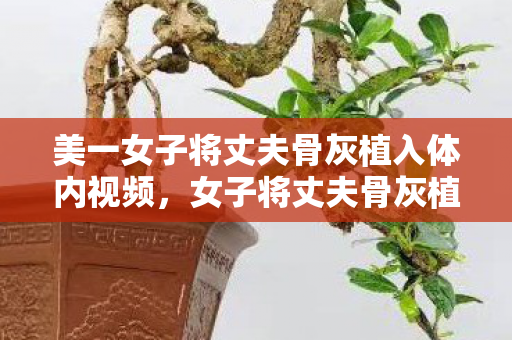 美一女子将丈夫骨灰植入体内视频，女子将丈夫骨灰植入体内，永恒的爱与身体的融合