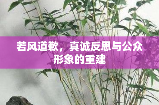 若风道歉，真诚反思与公众形象的重建