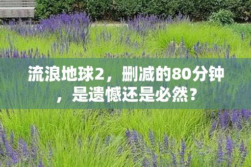 流浪地球2，删减的80分钟，是遗憾还是必然？