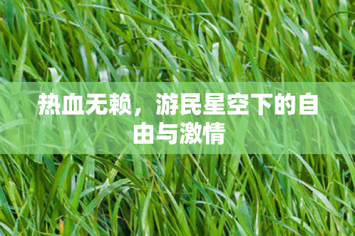 热血无赖，游民星空下的自由与激情