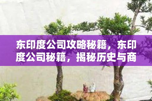 东印度公司攻略秘籍,东印度公司秘籍,揭秘历史与商业的传奇 东印度公司攻略秘籍,东印度公司秘籍,揭秘历史与商业的传奇