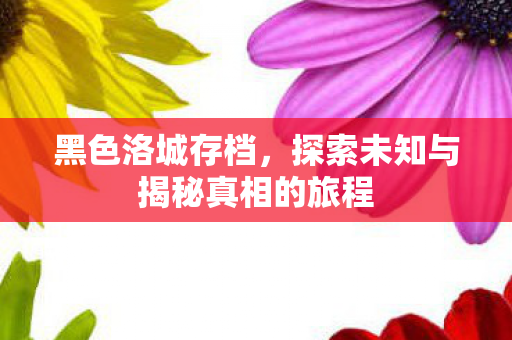 黑色洛城存档，探索未知与揭秘真相的旅程