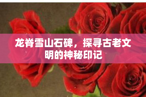 龙脊雪山石碑，探寻古老文明的神秘印记