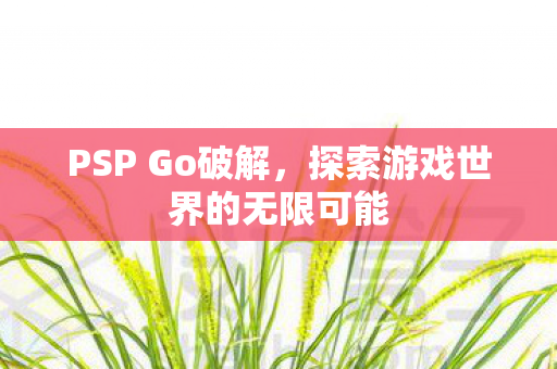 PSP Go破解,探索游戏世界的无限可能 PSP Go破解,探索游戏世界的无限可能