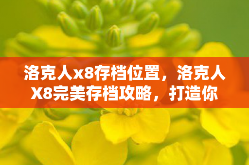 洛克人x8存档位置，洛克人X8完美存档攻略，打造你的终极游戏之旅