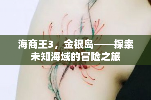 海商王3，金银岛——探索未知海域的冒险之旅