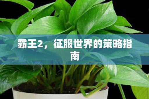 霸王2，征服世界的策略指南