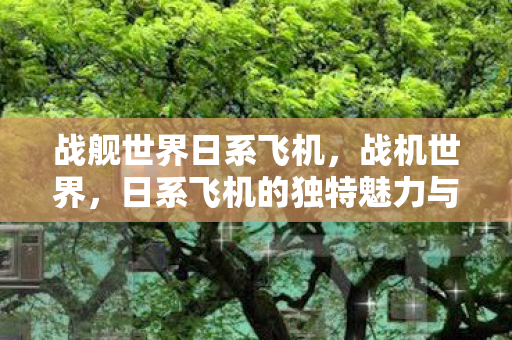 战舰世界日系飞机,战机世界,日系飞机的独特魅力与战术解析 战舰世界日系飞机,战机世界,日系飞机的独特魅力与战术解析