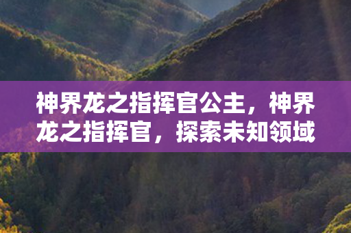 神界龙之指挥官公主，神界龙之指挥官，探索未知领域的传奇之旅