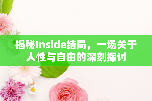 揭秘Inside结局，一场关于人性与自由的深刻探讨