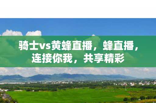 骑士vs黄蜂直播，蜂直播，连接你我，共享精彩
