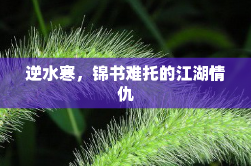 逆水寒，锦书难托的江湖情仇