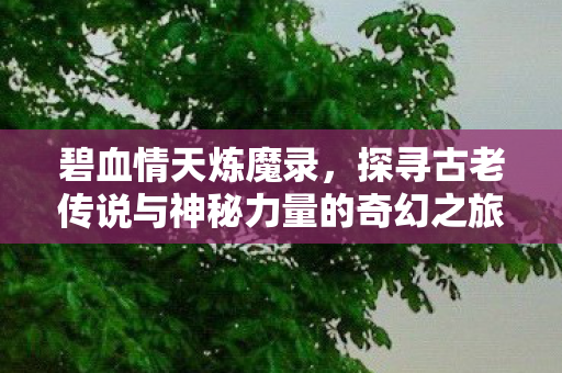 碧血情天炼魔录，探寻古老传说与神秘力量的奇幻之旅