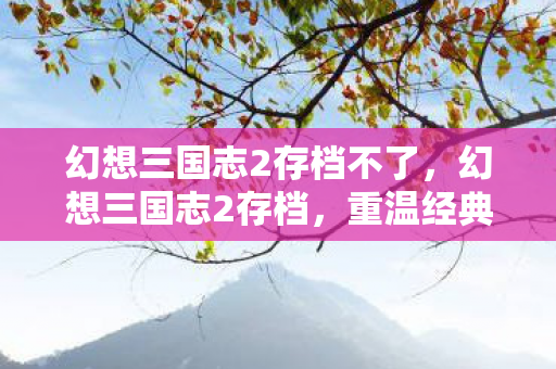 幻想三国志2存档不了，幻想三国志2存档，重温经典，再续前缘