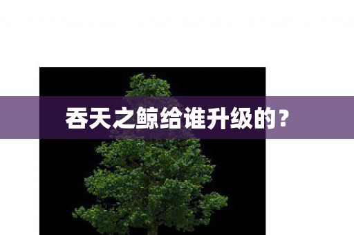 吞天之鲸给谁升级的? 吞天之鲸给谁升级的?