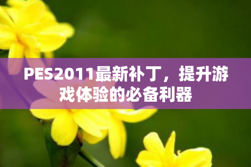 PES2011最新补丁，提升游戏体验的必备利器