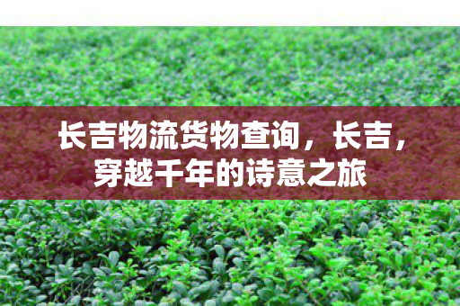长吉物流货物查询，长吉，穿越千年的诗意之旅