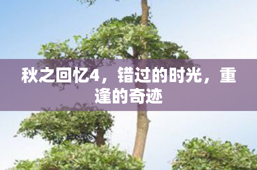 秋之回忆4，错过的时光，重逢的奇迹