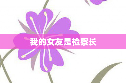 我的女友是检察长