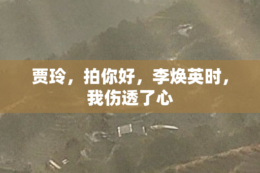 贾玲，拍你好，李焕英时，我伤透了心