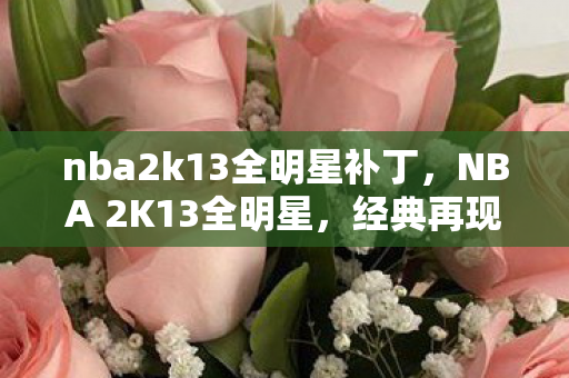 nba2k13全明星补丁，NBA 2K13全明星，经典再现，传奇永存