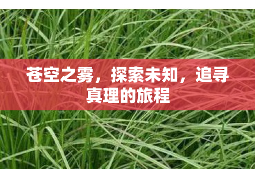 苍空之雾，探索未知，追寻真理的旅程