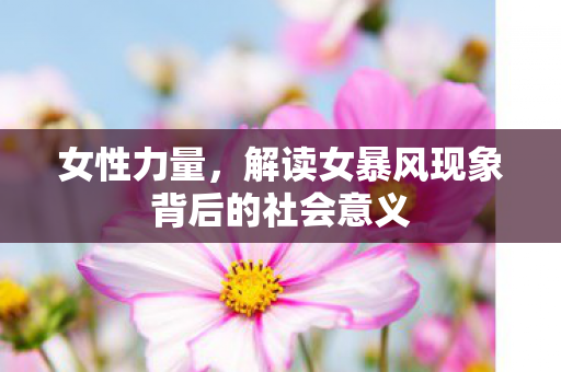 女性力量，解读女暴风现象背后的社会意义