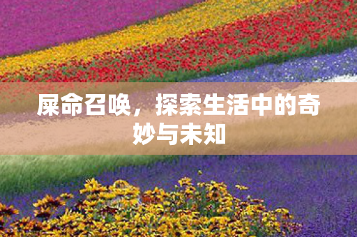 屎命召唤，探索生活中的奇妙与未知