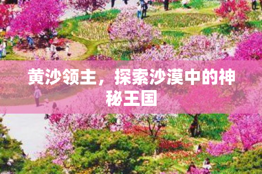 黄沙领主，探索沙漠中的神秘王国