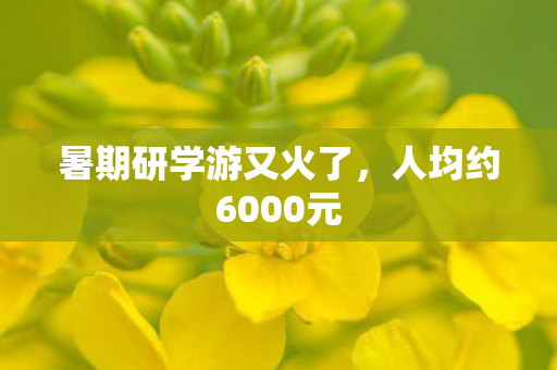 暑期研学游又火了，人均约6000元
