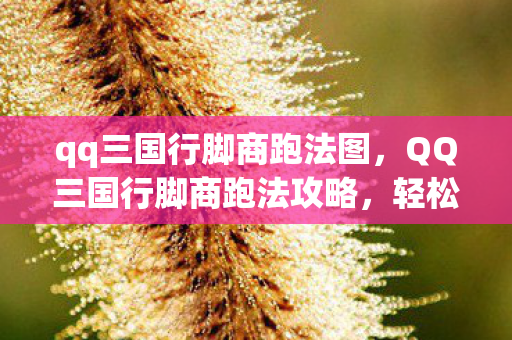qq三国行脚商跑法图，QQ三国行脚商跑法攻略，轻松致富的小秘诀
