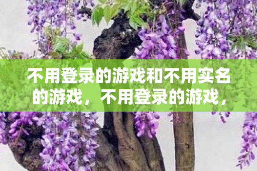 不用登录的游戏和不用实名的游戏，不用登录的游戏，探索无门槛娱乐的新世界