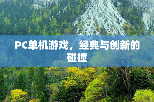 PC单机游戏，经典与创新的碰撞