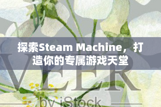 探索Steam Machine,打造你的专属游戏天堂 探索Steam Machine,打造你的专属游戏天堂