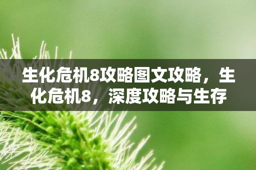 生化危机8攻略图文攻略，生化危机8，深度攻略与生存指南