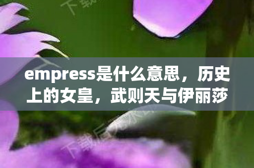 empress是什么意思，历史上的女皇，武则天与伊丽莎白一世的权力之路