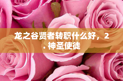 龙之谷贤者转职什么好，2. 神圣使徒