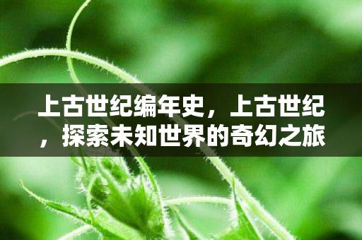 上古世纪编年史，上古世纪，探索未知世界的奇幻之旅